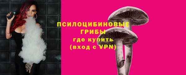 МДПВ Заволжье