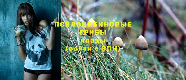2c-b Заволжск